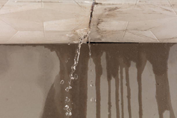 Professional Burst Pipe Cleanup technician working in Green Isle, MN